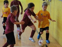 mini-IMG_6960